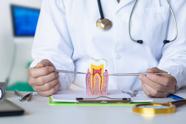 Best Emergency Treatment for Dental Infections or Abscesses in Continental, OH